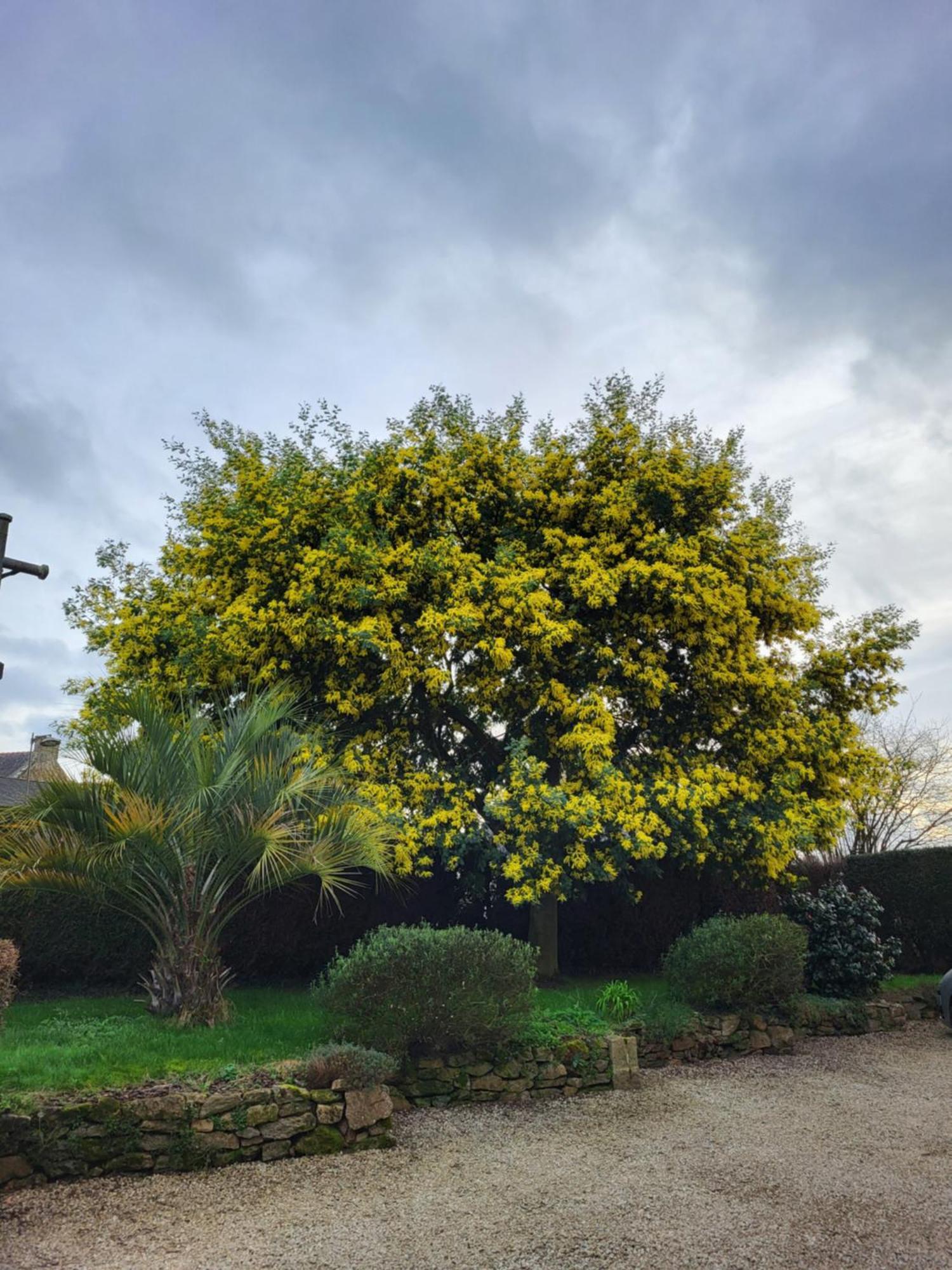 Clos St Ange Vildé-Guingalan Exteriér fotografie